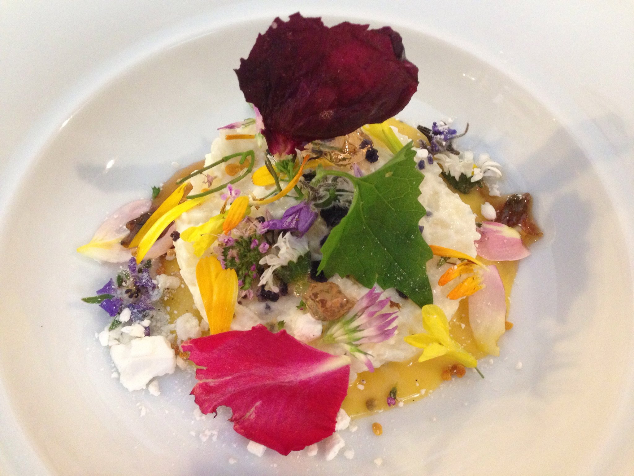 Dolce Millefiori Trattoria Enoteca Barsotti