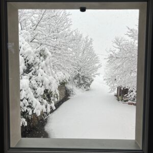 E’ tornata la neve!