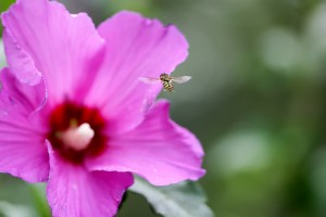 Slurp!!! - Fabrizio Rosano