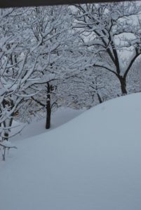 Rettifico: tantisssima