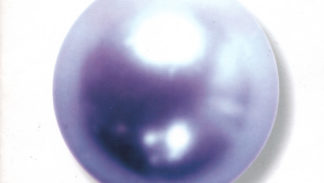 Elio E Le Storie Tese - Peerla