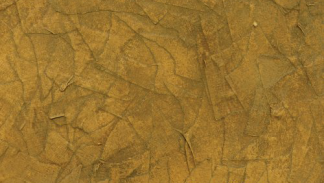 Frank Black - Honeycomb