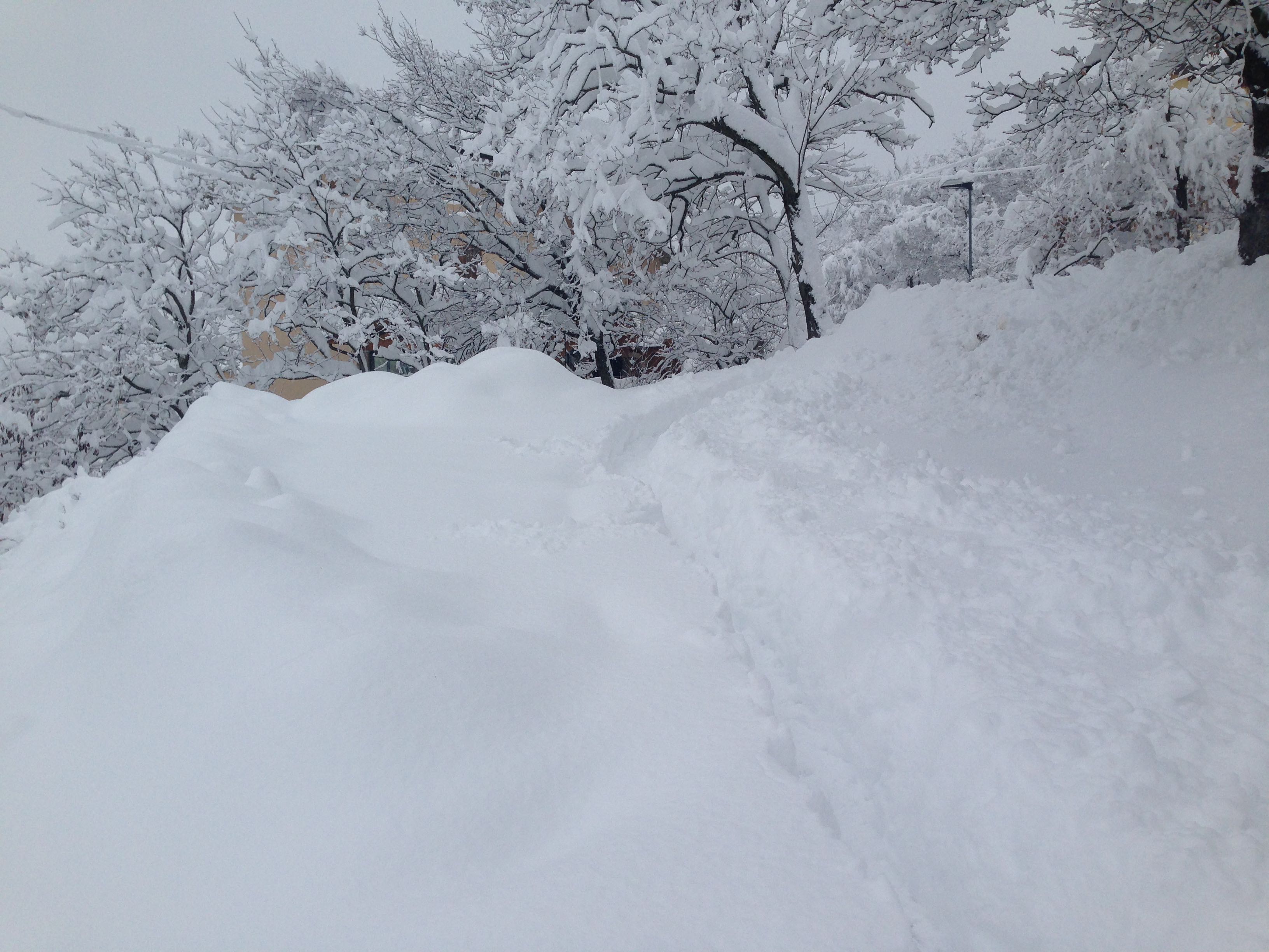 Montese nevicata 5 febbraio 2015