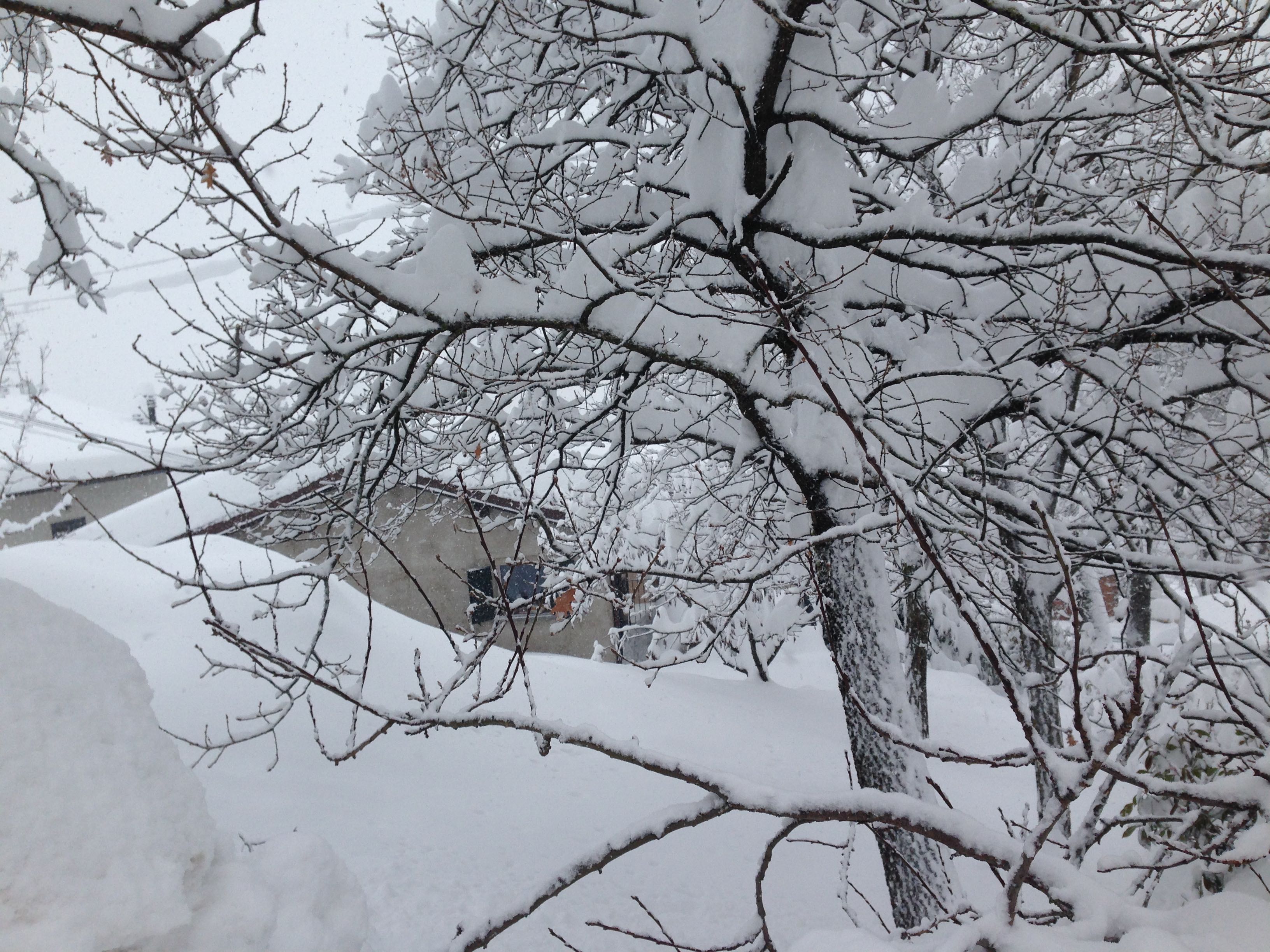 Casa Bastiano nevicata 6 febbraio 2015