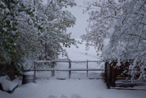 Quella volta che nevicò a maggio