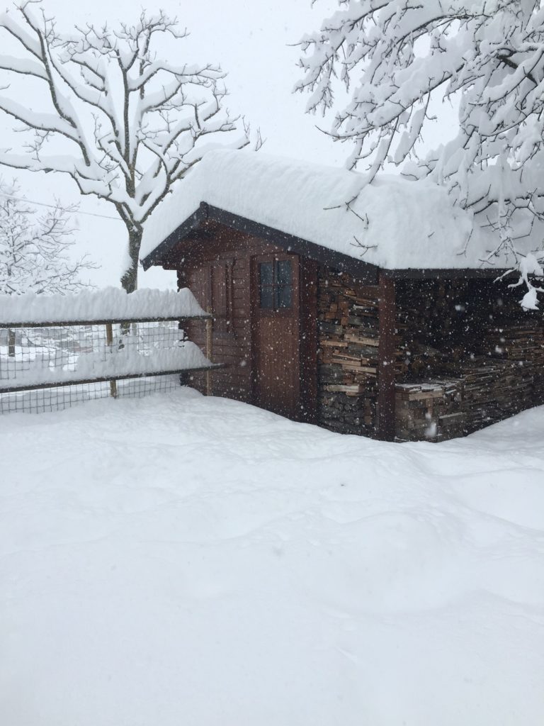 Montese Casa Bastiano nevicata 5 febbraio 2015