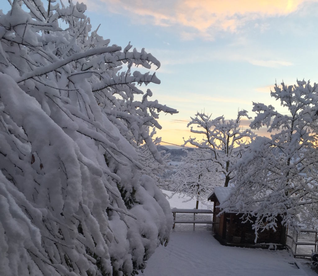 Montese neve 22 novembre 2015