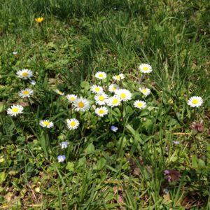 Contenti che un inverno si trasformi in primavera