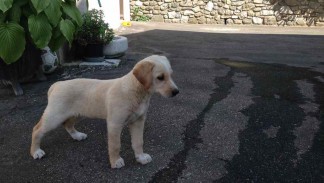 Luce appena arrivata a Casa Bastiano