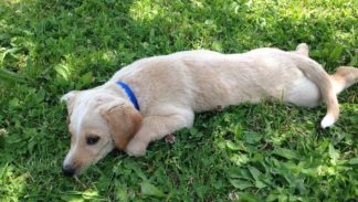 Luce sul fresco prato di Casa Bastiano