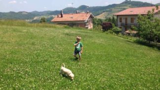 Taddeo e Luce nel campo