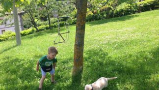 Primi approcci tra Taddeo e Luce