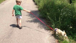 A Taddeo piace andare a passeggio con Luce