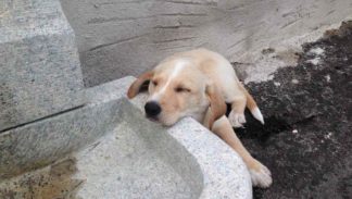 Per luce tutti i posti vanno bene per dormire