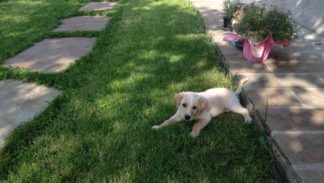 Luce è pronta a giocare