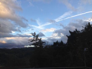 Seconda foto che vince l'App di RCB