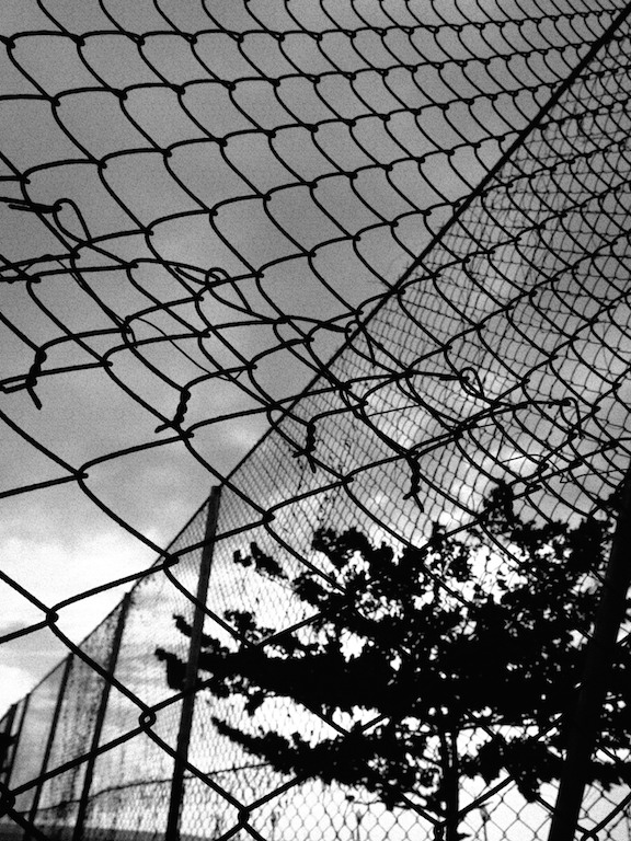 Lost Ones by Frank 2