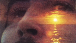 David Crosby - If I Could Only Remember My Name