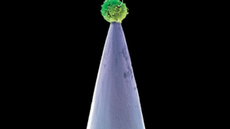 Peter Gabriel - New Blood