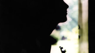 Paul Weller - Wild Wood