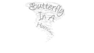 Stephen Ridley - Butterfly In a Hurricane