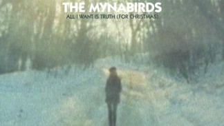 The Mynabirds - All I Want Is Truth (For Christmas) - Single