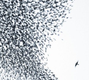 Wilco - Sky Blue Sky