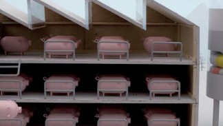 Willie Nelson - The Scientist