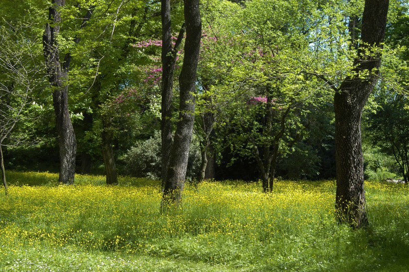 Orto Botanico Università di Bologna