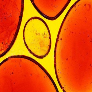 Feel So Good – Xmas ’01