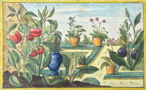 Un sabato all'Orto Botanico di Bologna