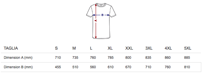 taglie maglietta RCB premium uomo