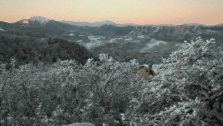 Neve Montese Casa Bastiano 25 gennaio 2014